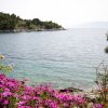 Lučica - photo 3