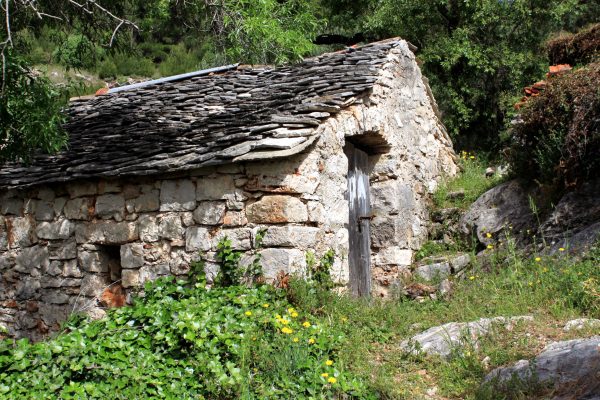 Lučica - photo 5