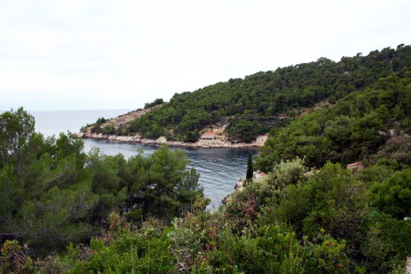 Lučica - photo 9