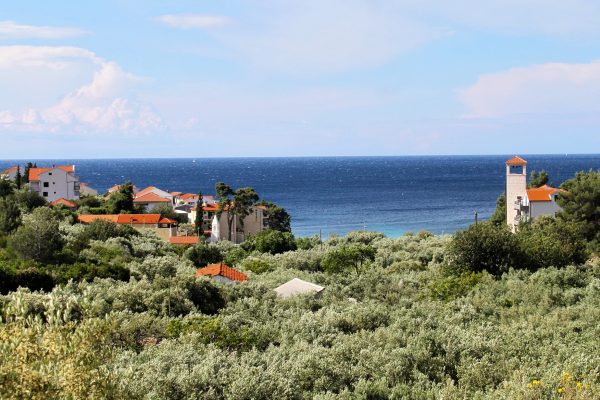 Milna - photo 11