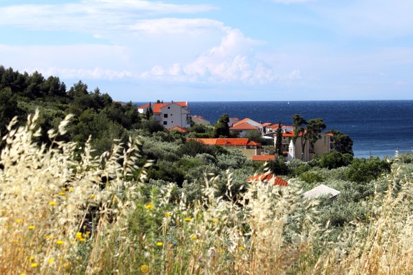 Milna - photo 7