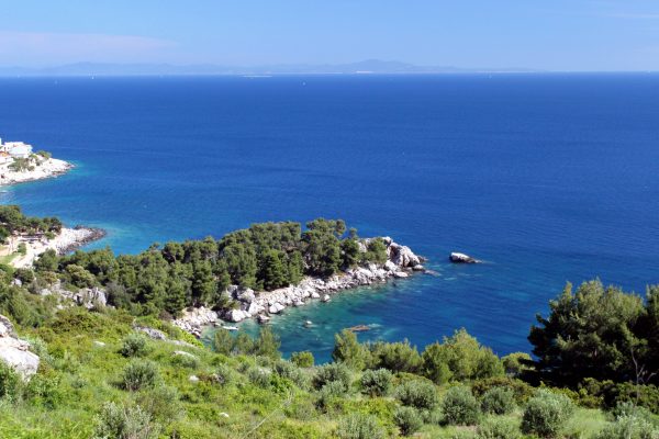 Milna - photo 9