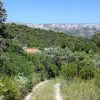 Mostir – Šćedro - photo 11