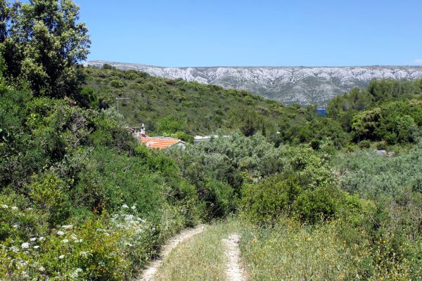 Mostir – Šćedro - photo 11