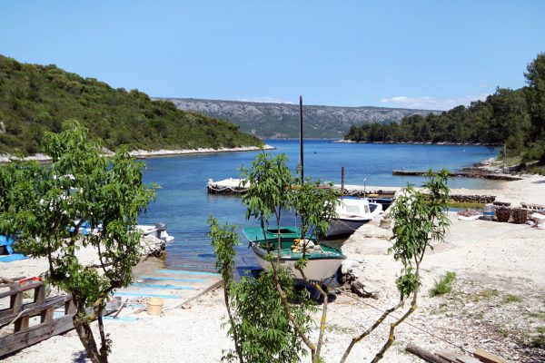Mostir – Šćedro - photo 12