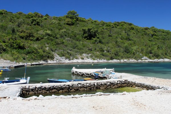 Mostir – Šćedro - photo 13