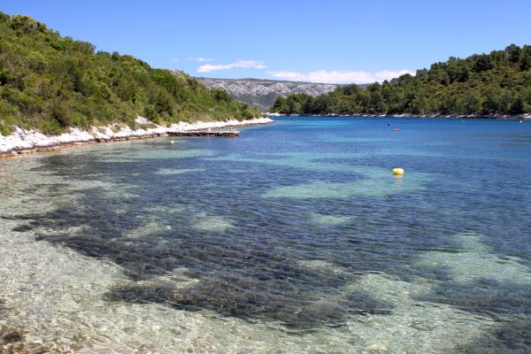 Mostir – Šćedro - photo 14
