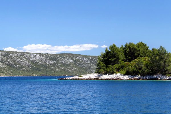 Mostir – Šćedro - photo 15