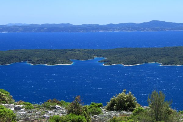 Mostir – Šćedro - photo 2