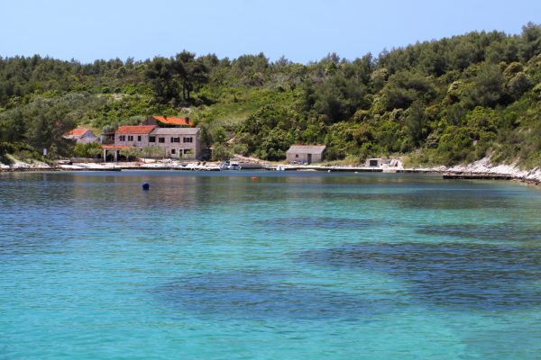 Mostir – Šćedro - photo 3