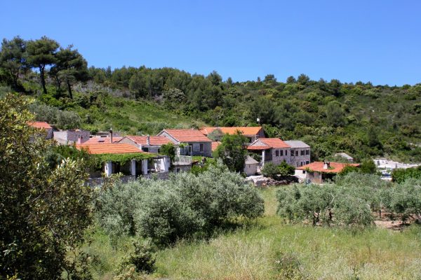 Mostir – Šćedro - photo 5