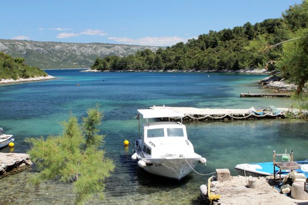 Mostir – Šćedro - photo 8