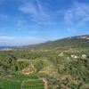 Pitve - photo 16