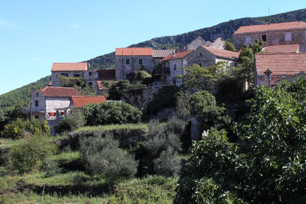 Pitve - photo 4