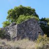 Pitve - photo 6