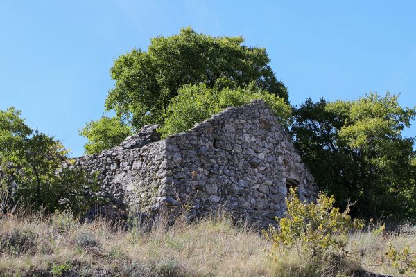 Pitve - photo 6