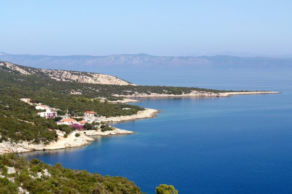 Pokrivenik - photo 15