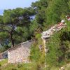 Prisnjak - photo 7