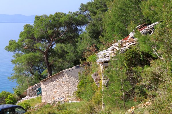 Prisnjak - photo 7