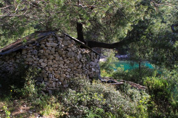 Prisnjak - photo 9