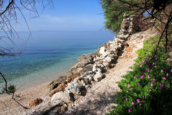 Rapak - photo 5