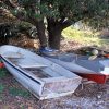 Rapak - photo 6