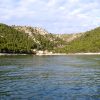 Smokvina - photo 2