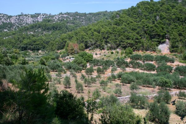 Smrska - photo 11