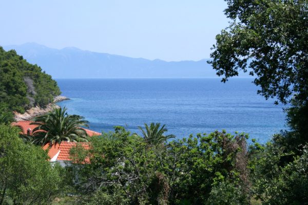 Smrska - photo 12
