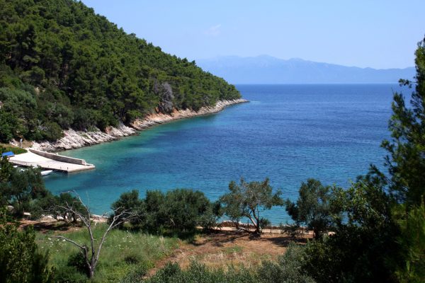 Smrska - photo 4