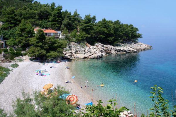 Stara