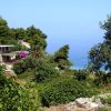 Stara - photo 2