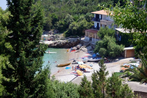Stara - photo 3