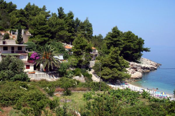 Stara - photo 5
