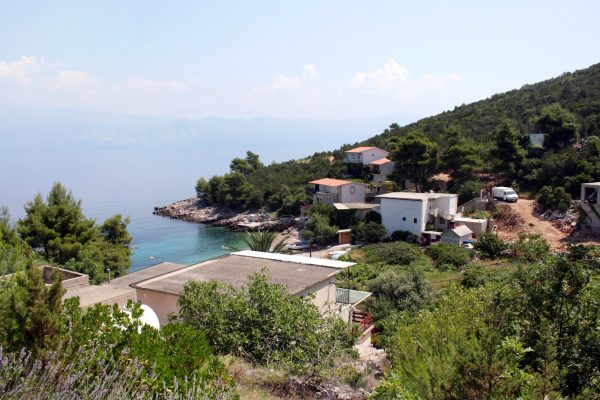 Stara - photo 6