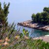 Stara - photo 7