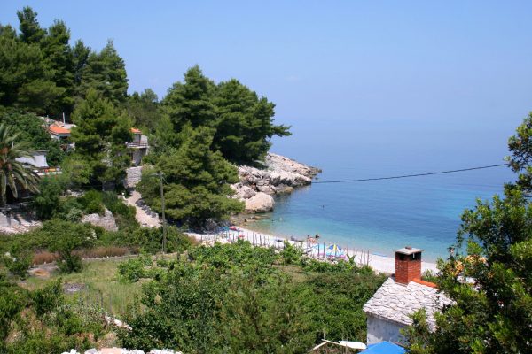 Stara - photo 8