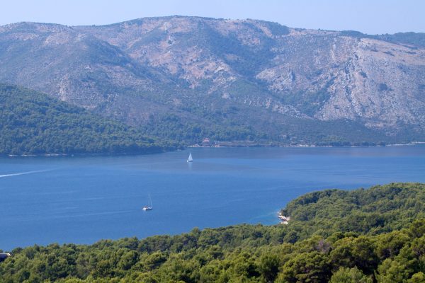 Stari Grad - photo 34
