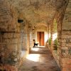 Stari Grad - photo 8