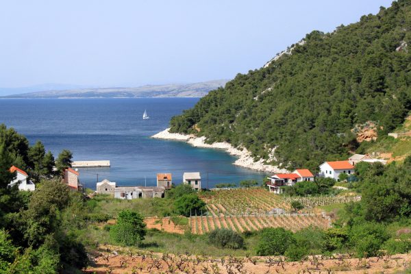 Stiniva (Brusje) - photo 7