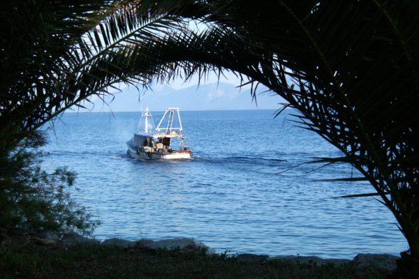 Sućuraj - photo 19