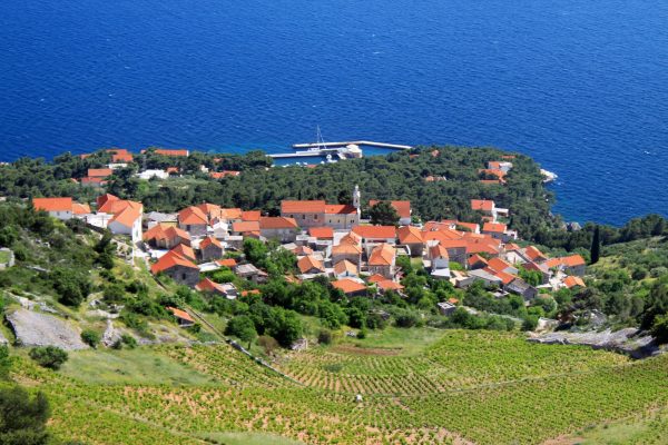 Sveta Nedilja - photo 2