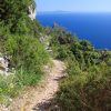 Sveta Nedilja - photo 25