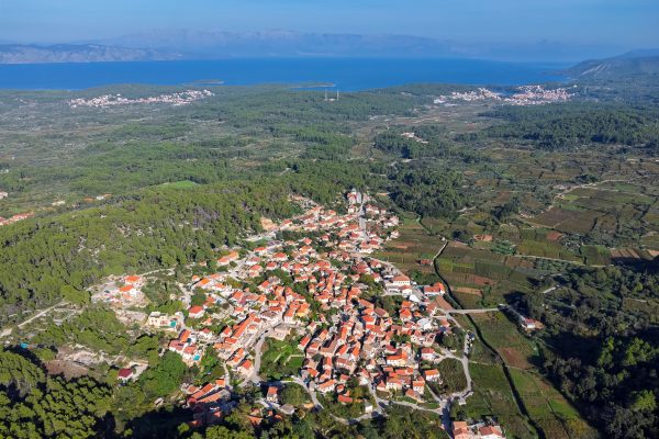 Svirče