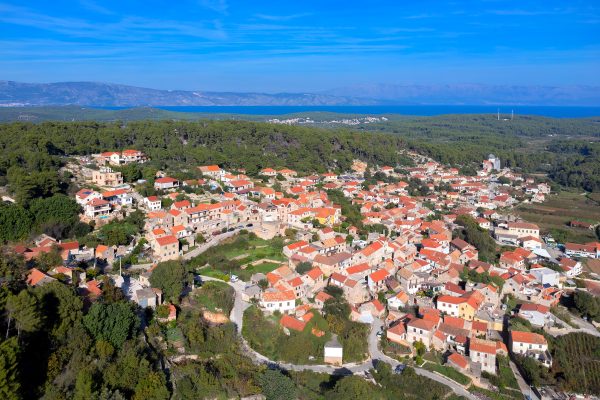 Svirče - photo 2