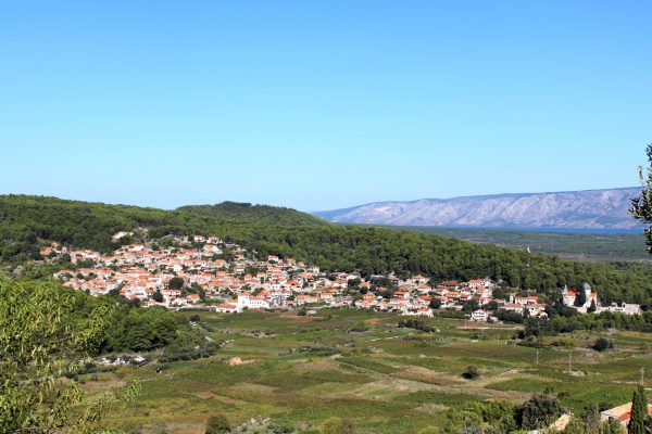 Svirče - photo 3