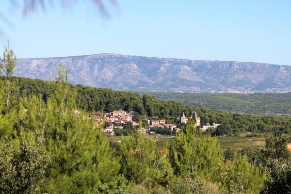 Svirče - photo 8