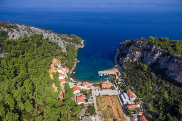 Vela Stiniva - photo 2