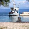 Vela Stiniva - photo 6