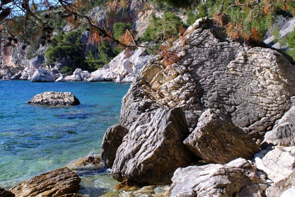 Zaraće - photo 11
